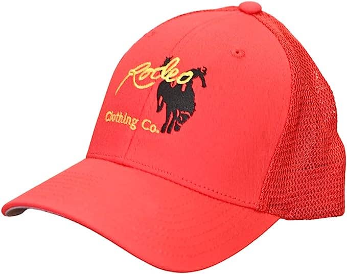 Men's Embroideried Rodeo Clothing Signature Caps for Men Hat: BROWN